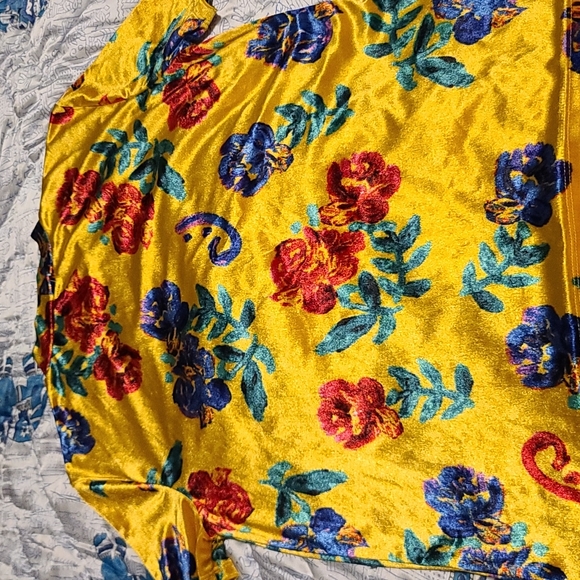 Zara Trafaluc mock neck velour top - Picture 6 of 6